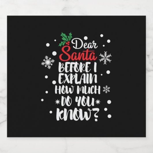 Xmas Geschenk Liebe Weihnachten, bevor ich erkläre Bierflaschenetikett (Einzelnes Label)