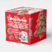 XMAS GIFT BOX GESCHENKSCHACHTEL (Vorderseite)