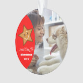 XmaS gingerbread Star Editable Text Red Ornament (Vorderseite)