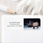 Xmas Grußkarten Rücksendeadressen-Aufkleber (Insitu)