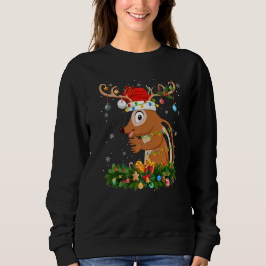 Xmas Holiday Reindeer Hat Santa Chipmunk Christmas Sweatshirt (Vorderseite)