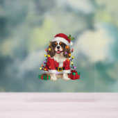 Xmas Lighting Cavalier King Charles Spaniel Dog Ch Acrylschild (Neutral)