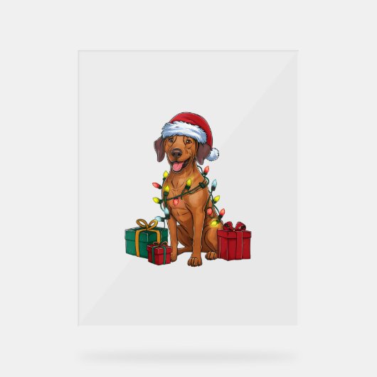 Xmas Lighting Santa Rhodesian Ridgeback Dog Christ Acrylschild (Vorderseite)