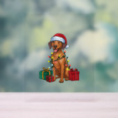 Xmas Lighting Santa Rhodesian Ridgeback Dog Christ Acrylschild (Neutral)