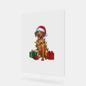 Xmas Lighting Santa Rhodesian Ridgeback Dog Christ Acrylschild (Winkel)