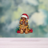 Xmas Lighting Weihnachtsmannmütze Cocker Spaniel D Acrylschild (Neutral)