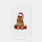 Xmas Lighting Weihnachtsmannmütze Cocker Spaniel D Acrylschild (Winkel)