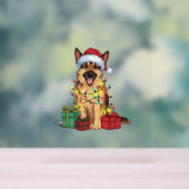 Xmas Lighting Weihnachtsmannmütze German Shepherd Acrylschild (Neutral)