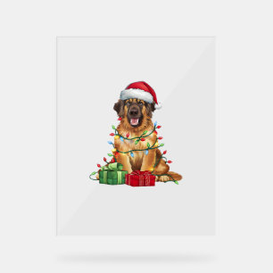Xmas Lighting Weihnachtsmannmütze Leonberger Dog W Acrylschild