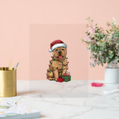 Xmas Lighting Weihnachtsmannmütze Shar Pei Dog Wei Acrylschild (Hochzeit)