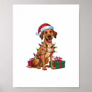 Xmas Lighting Weihnachtsmannmütze Thai Ridgeback D Poster