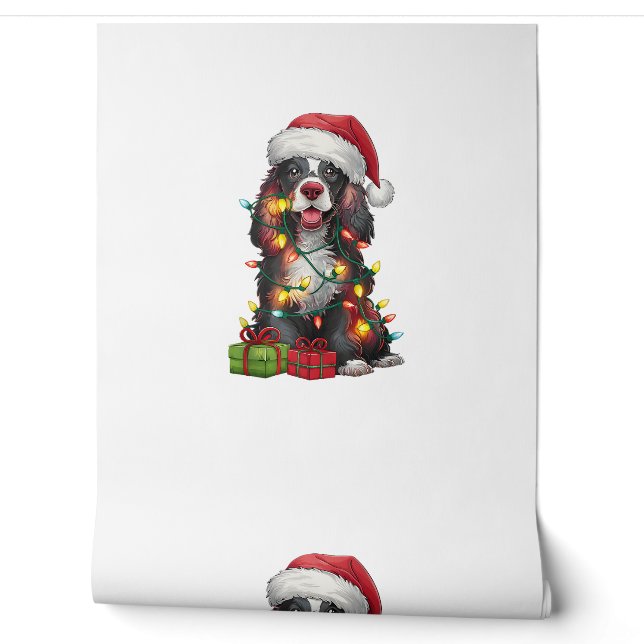 Xmas Lighting Weihnachtsmannmütze Welsh Springer S Tapete (Abrollen)