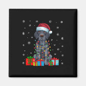Xmas Lights Santa German Kurzhaarige Pointer Dog C Magnet (Vorne)