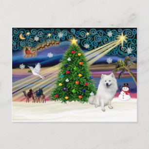 Xmas Magic-Amerikanischer Eskimo-Hund Feiertagspostkarte