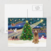 Xmas Magic-Briard-Fawn Feiertagspostkarte (Vorne/Hinten)
