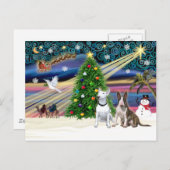 Xmas Magic Bull Terrier Party Feiertagspostkarte (Vorne/Hinten)