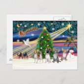 Xmas Magic-Chihuahuas (4) Feiertagspostkarte (Vorne/Hinten)