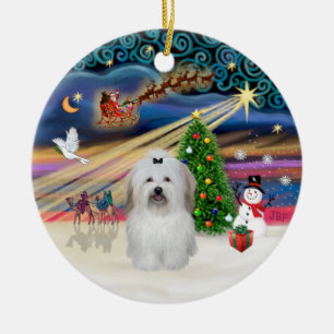Xmas Magic - Coton de Tulear (Bogen) Keramikornament