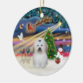 Xmas Magic - Coton de Tulear (Bogen) Keramikornament (Links)