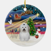 Xmas Magic - Coton de Tulear (Bogen) Keramikornament (Hinten)