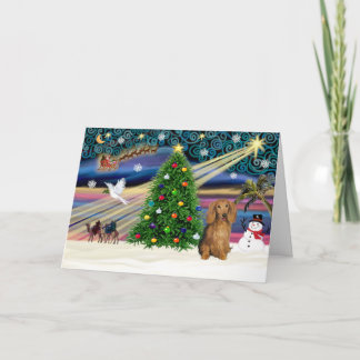 Xmas Magic-Dackel LH-Sable Feiertagskarte
