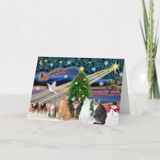 Xmas Magic - Fünf Katzen (AmSH) Feiertagskarte (Vorderseite)