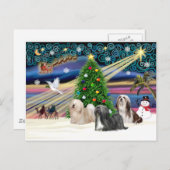 Xmas Magic-Lhasa Apso-Trio Feiertagspostkarte (Vorne/Hinten)