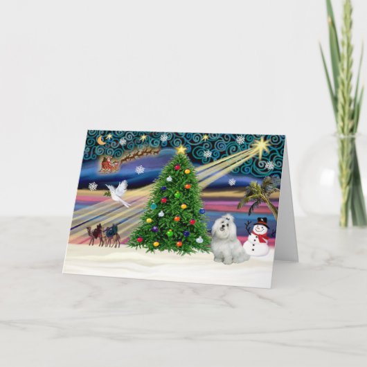 Xmas Magic-Maltese-Süsse Feiertagskarte (Vorderseite)