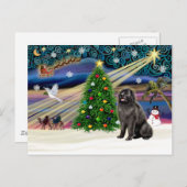 Xmas Magic-Newfie-Schwarz Feiertagspostkarte (Vorne/Hinten)