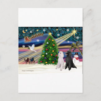 XMAS MAGIC-Poodle ST-Pair2 Feiertagspostkarte