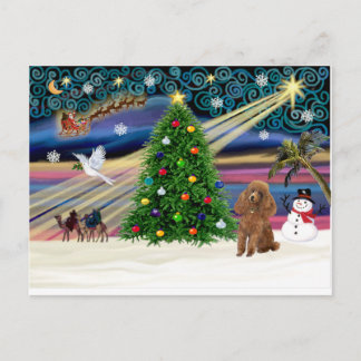 Xmas Magic-Poodle-Toy-Apricot Feiertagspostkarte