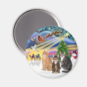 Xmas Magic (R) - Drei Katzen (AmSH) Magnet (Vorderseite/Rückseite)