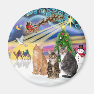 Xmas Magic (R) - Drei Katzen (AmSH) Magnet