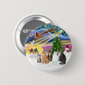 Xmas Magic (R) - Fünf Katzen (AmSH) Button (Vorne & Hinten)