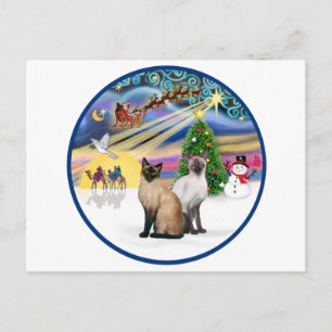 Xmas Magic (R) - Zwei Siamkatzen Feiertagspostkarte