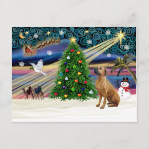 Xmas Magic-Rhodesian Ridgeback-lkup Feiertagspostkarte