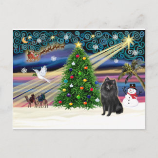 Xmas Magic-Schipperke Feiertagspostkarte