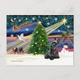 XMAS MAGIC-Scottie2B Feiertagspostkarte