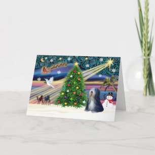 Xmas Magic-Tibetan Terrier (BW) Feiertagskarte