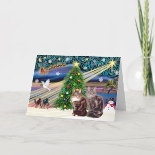 Xmas Magic - Zwei Maine Coon Katzen Feiertagskarte