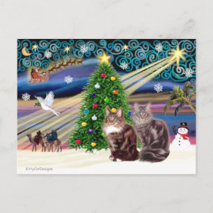 Xmas Magic - Zwei Maine Coon Katzen Feiertagspostkarte