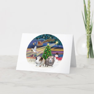 Xmas Magic -Zwei Meerschweinchen Feiertagskarte