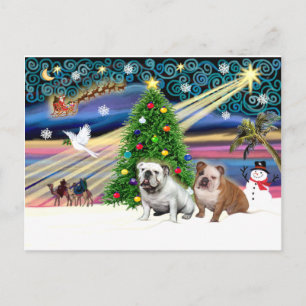 Xmas Magie - 2 englische Bulldogs Feiertagspostkarte