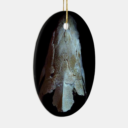 >XMAS ORNAMENT-STURGEON FISH-SKULL/HEAD KERAMIK ORNAMENT (Rechts)