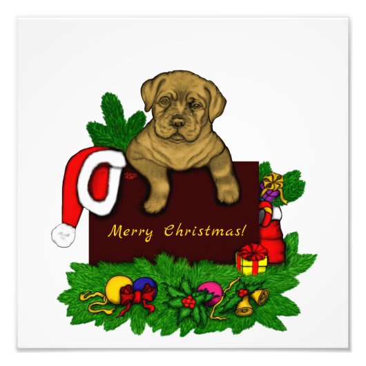 XMas Puppy Fotodruck (Vorne)
