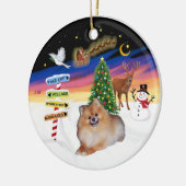 Xmas Signs - Spitz #4 Keramik Ornament (Links)