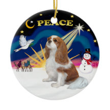Xmas-Sonnenaufgang - Blenheim Cavalier
