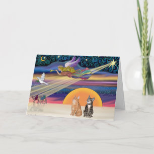 Xmas Star - Braune und orangefarbene Tabby Katzen  Feiertagskarte