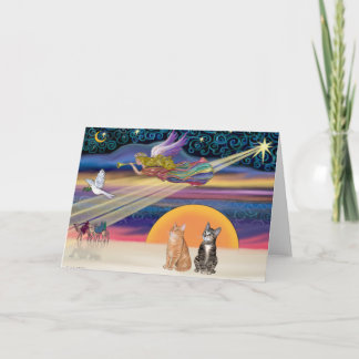 Xmas Star - Braune und orangefarbene Tabby Katzen  Feiertagskarte