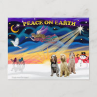 Xmas Sunrise - Drei italienische Spinone